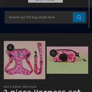Dog accessories  thumbnail 9
