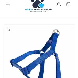 Dog accessories  thumbnail 4