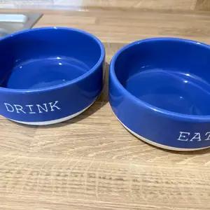 Dog bowls thumbnail 1
