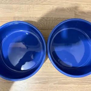 Dog bowls thumbnail 4