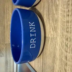Dog bowls thumbnail 2