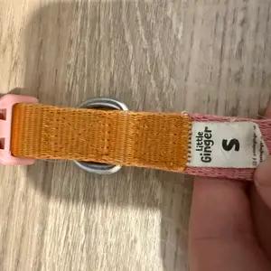 Collar & harness thumbnail 2