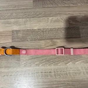 Collar & harness thumbnail 5