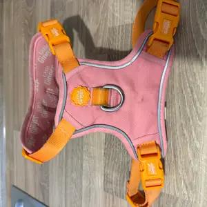 Collar & harness thumbnail 4