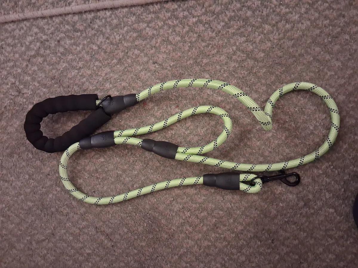 Dog lead
