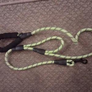 Dog lead