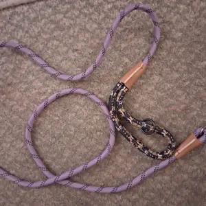 Dog lead