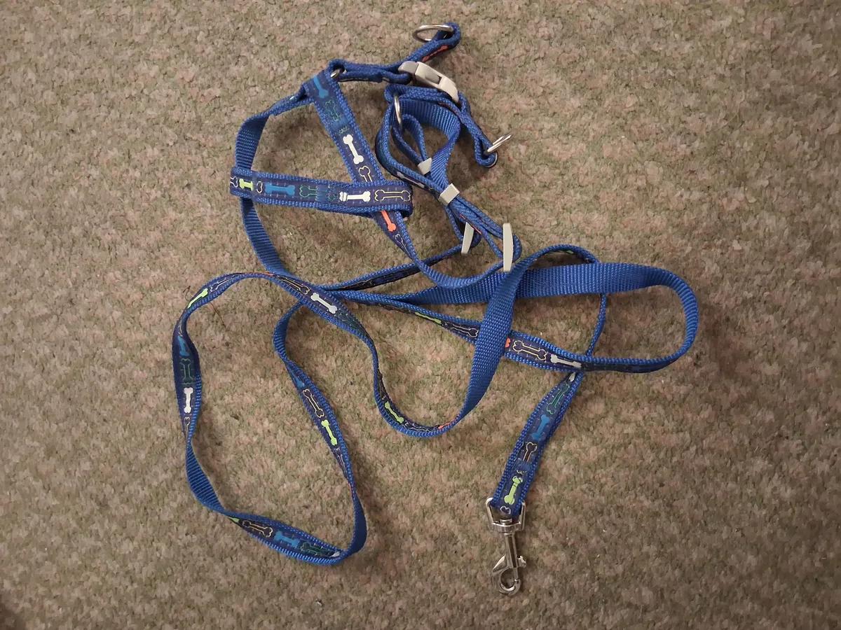 Dog harness and matching lead