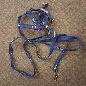 Dog harness and matching lead