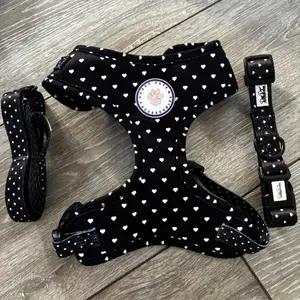 Hearts dog harness collar and lead set