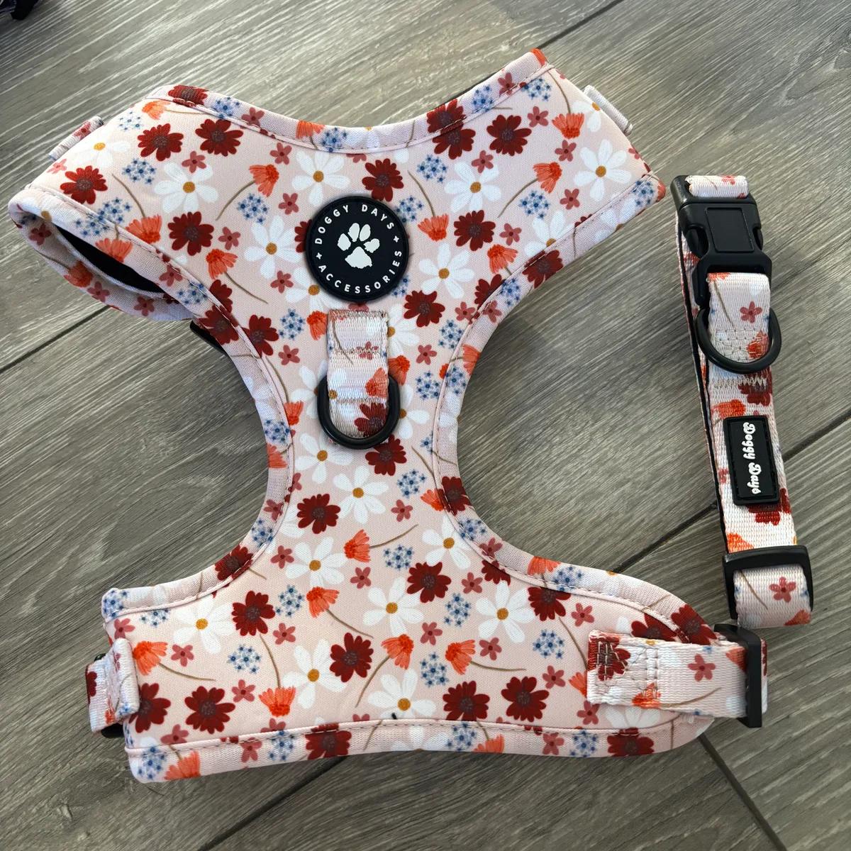 Medium dog harness and collar- floral