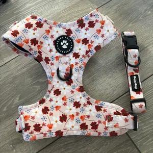 Medium dog harness and collar- floral thumbnail 1