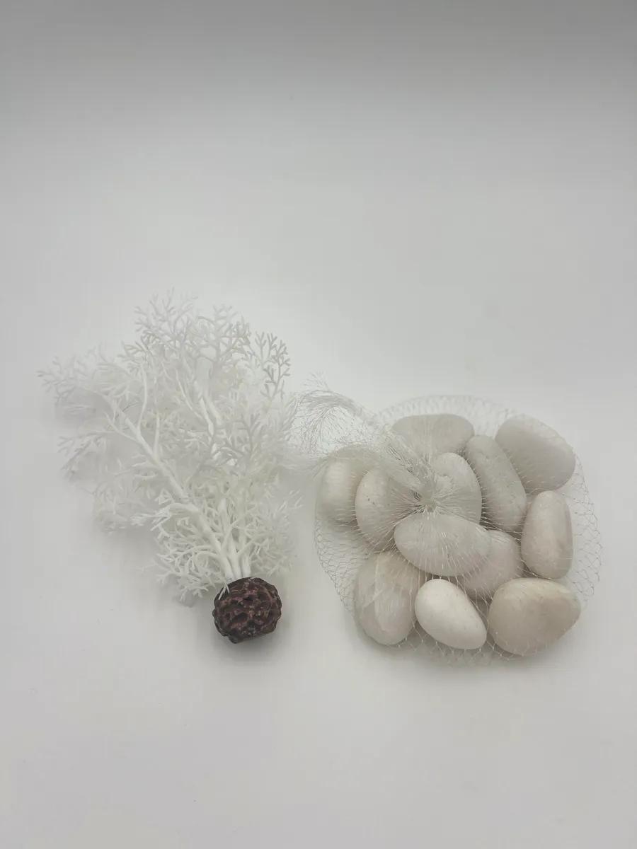 Fish tank accessories