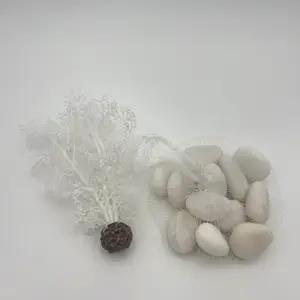 Fish tank accessories