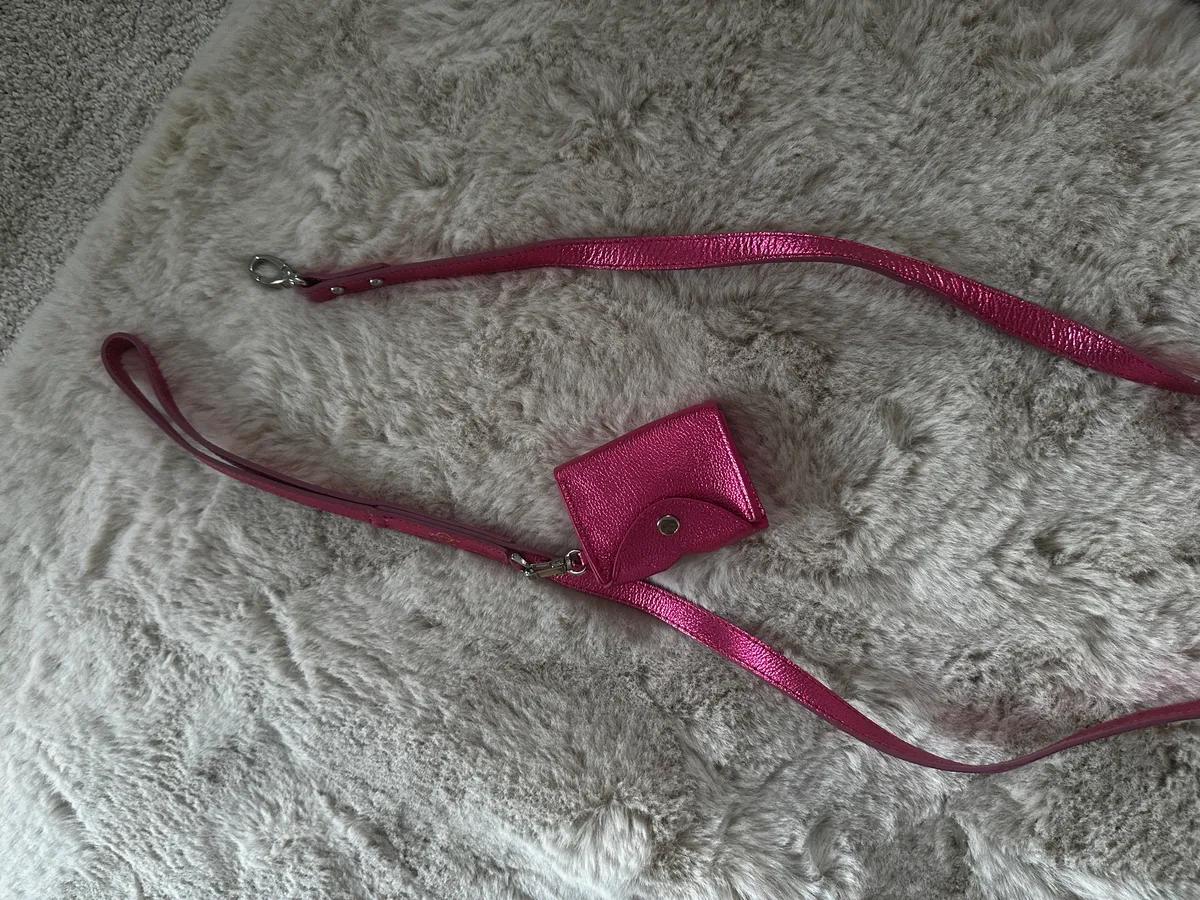 pretty pet lead with mini bag