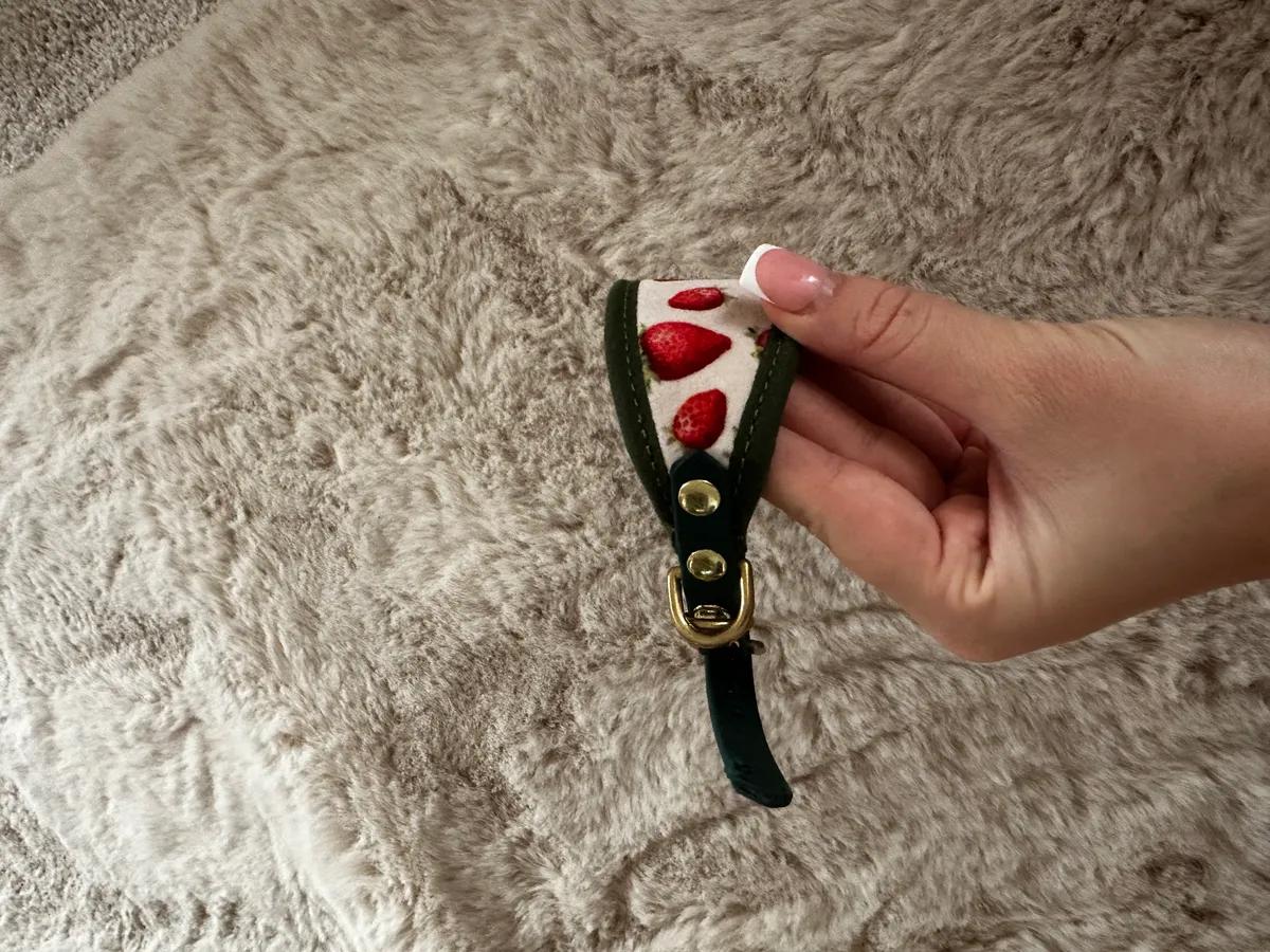 Strawberry collar