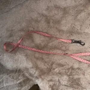 Spotty dog lead - Image 2