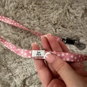 Spotty dog lead - Image 3