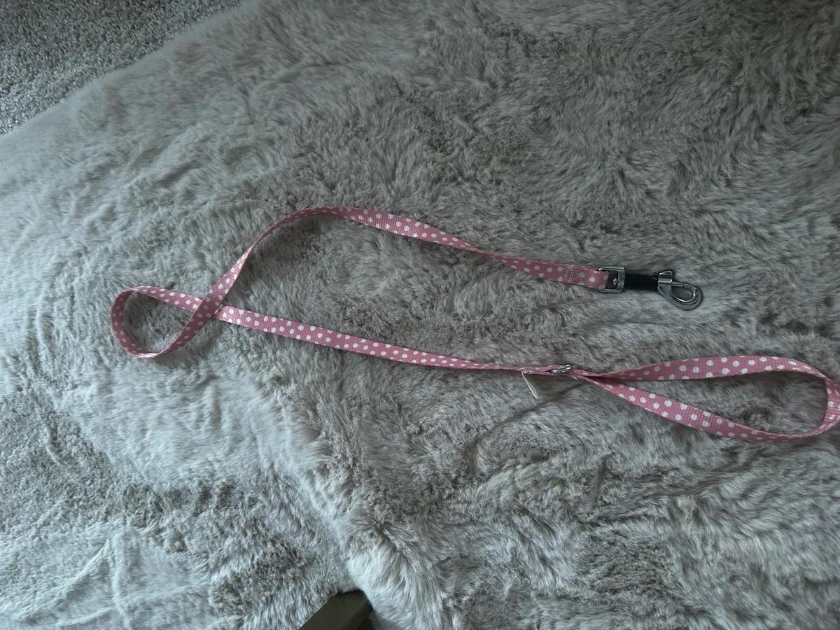 Spotty dog lead