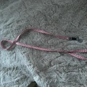 Spotty dog lead