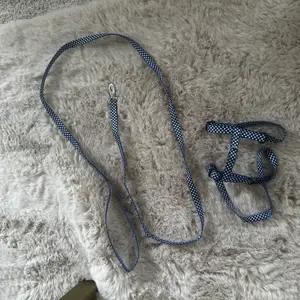 Polka dot lead and harness - Image 2