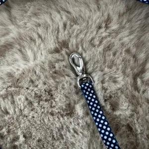 Polka dot lead and harness - Image 3