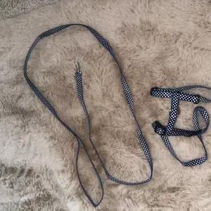 Polka dot lead and harness - Image 4