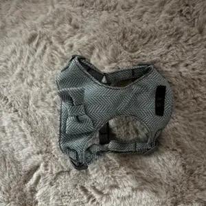 Bow dog harness - Image 3