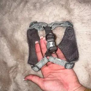 Bow dog harness - Image 2
