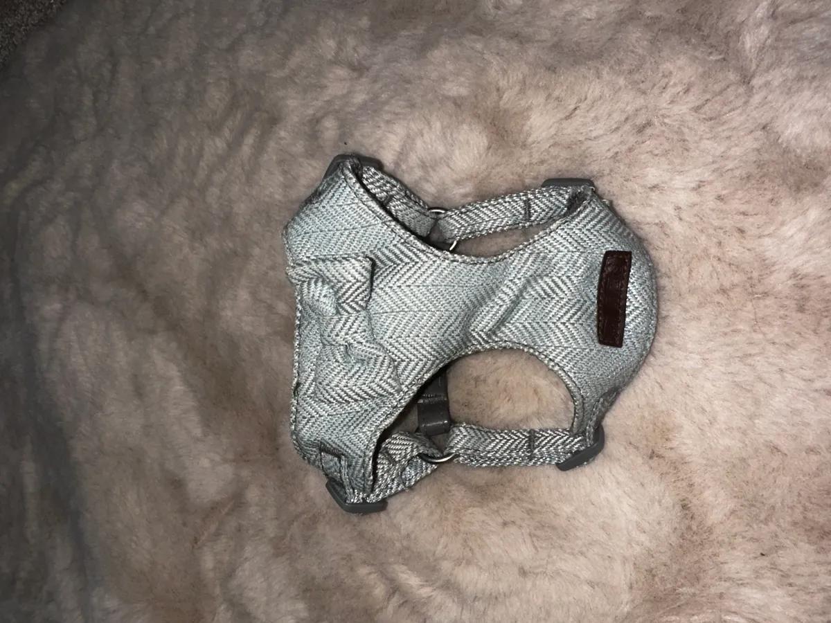 Bow dog harness