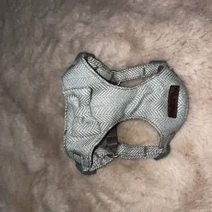 Bow dog harness - Image 1