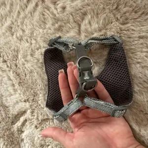 Bow dog harness - Image 4