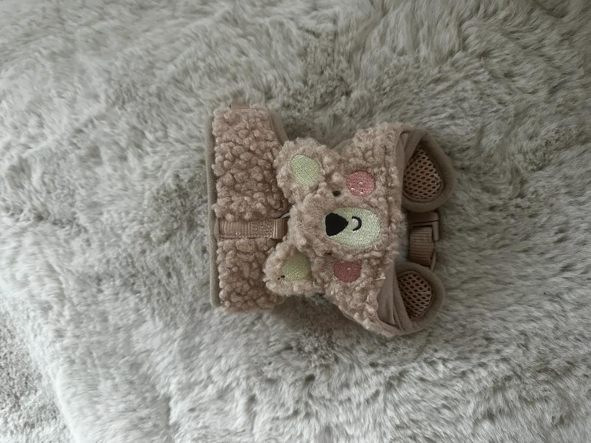 Teddy harness