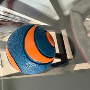 Dog ball