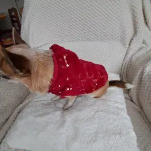 Doxtasy coat - Image 3