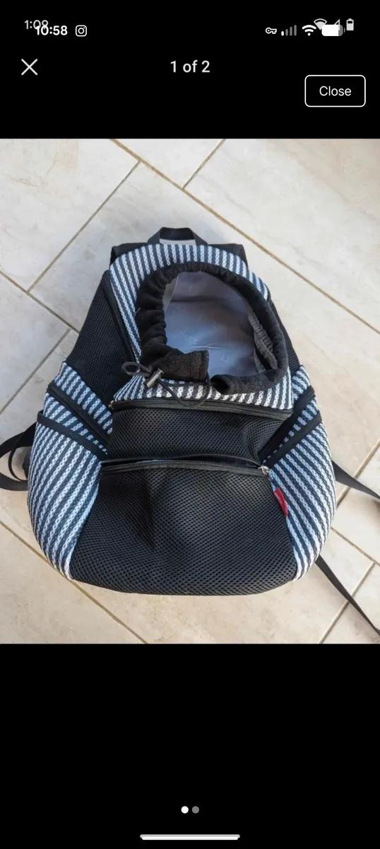 Puppy backpack