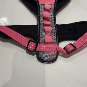 Dog harness size large - Image 2