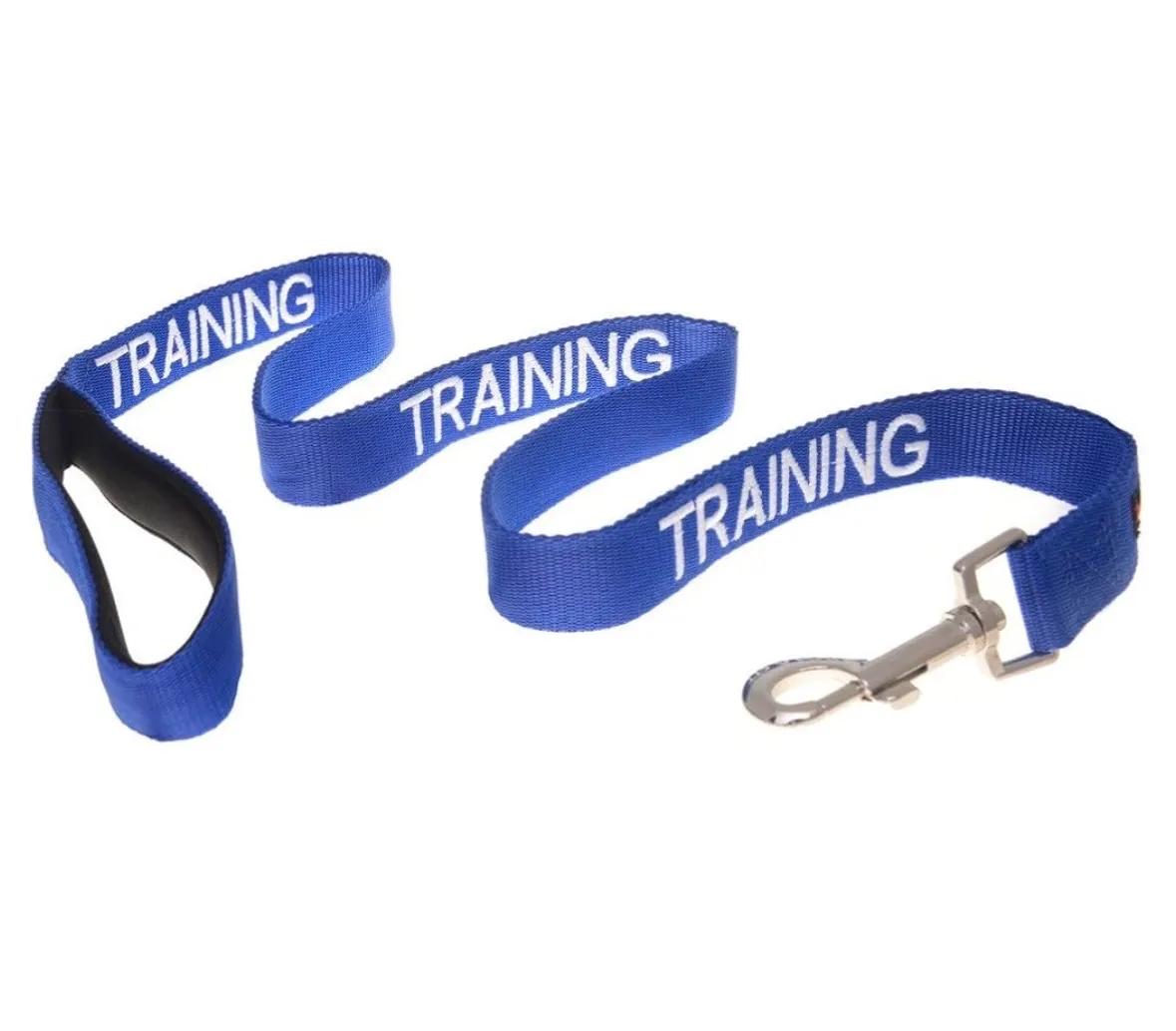 Dog in training lead