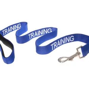 Dog in training lead