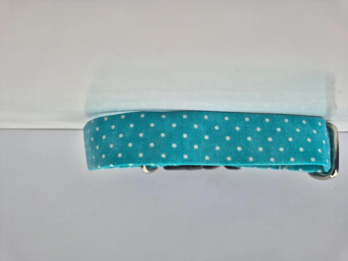 Turquoise collar with white polkadots