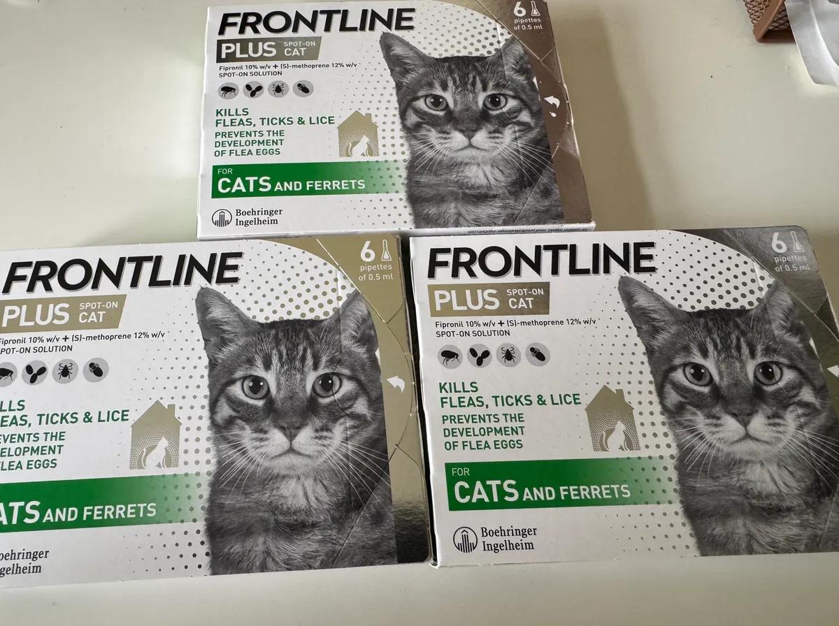 Frontline plus spot on cat 3 × 6 pipettes