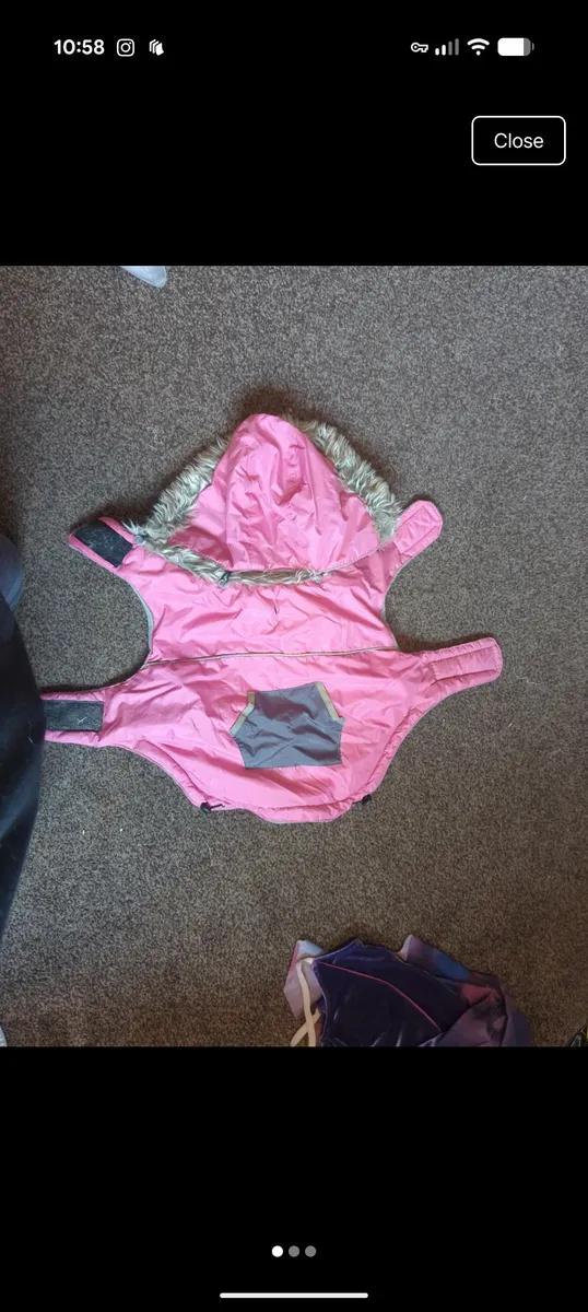 Dog coat Medium